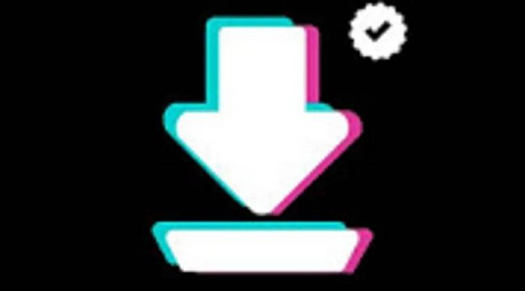 How To Review Snaptik App