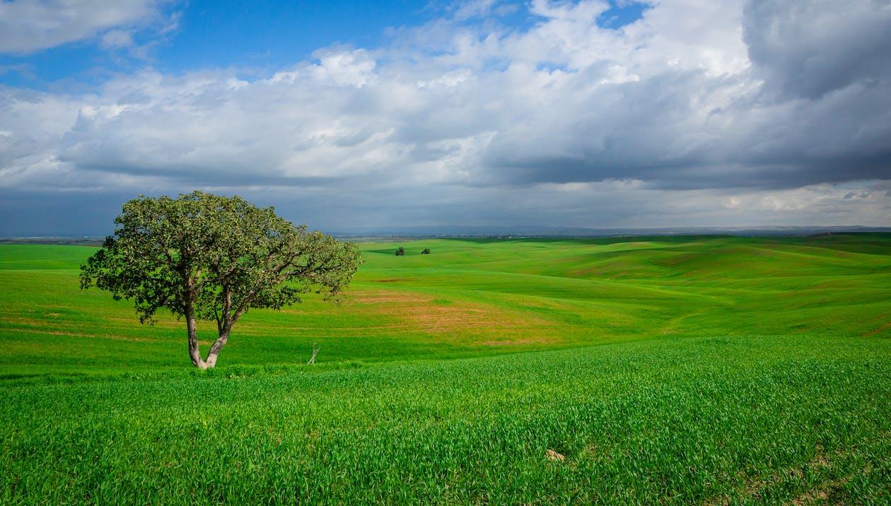 Easy Land For Sale – Prime Location!